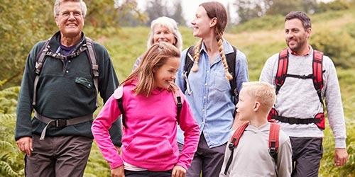           Family Groups      